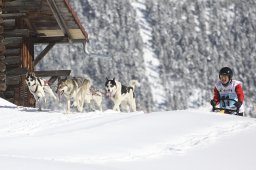 Kandersteg 2013